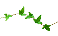wp065c0681.png