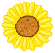 wp6c25c688.png