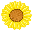 wpe6f939be.png